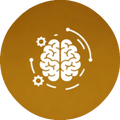 Brain functionality